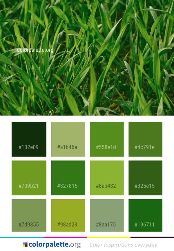Grass Plant Family Color Palette