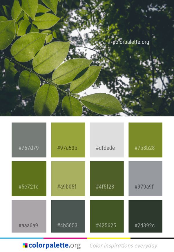 Leaf Green Vegetation Color Palette