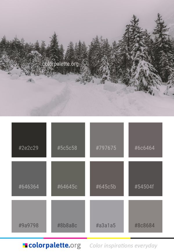 Snow Winter Tree Color Palette