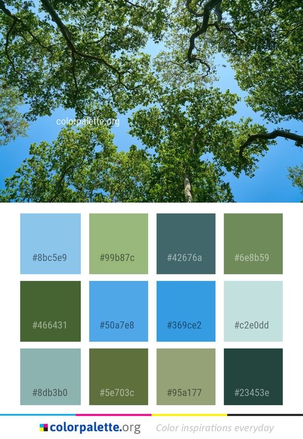 Tree Sky Branch Color Palette