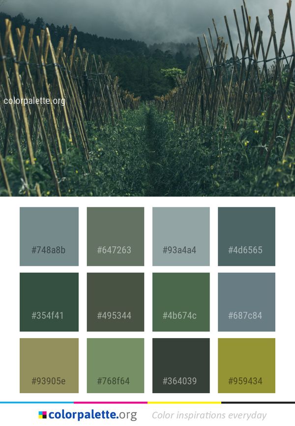 Vegetation Ecosystem Grass Color Palette