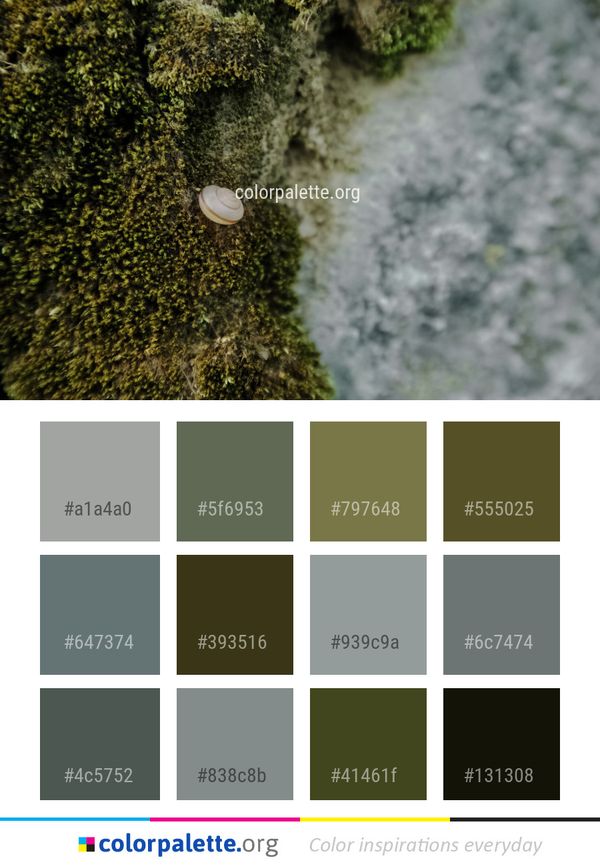 Vegetation Water Tree Color Palette