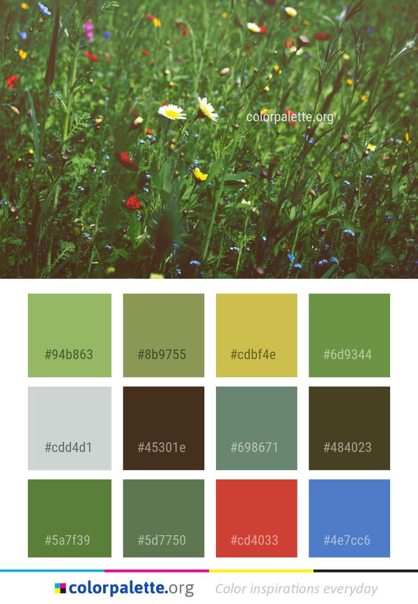 Wildflower Ecosystem Flower Color Palette