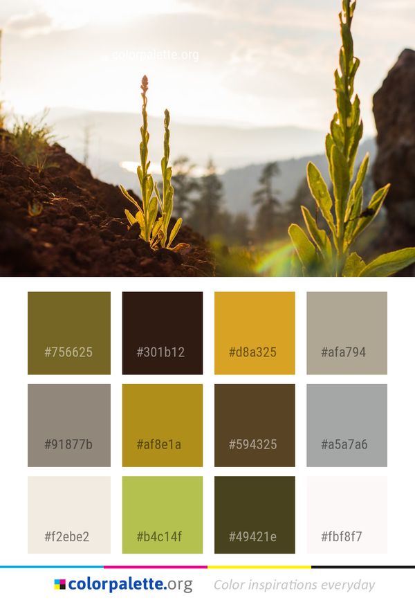 Yellow Sky Vegetation Color Palette