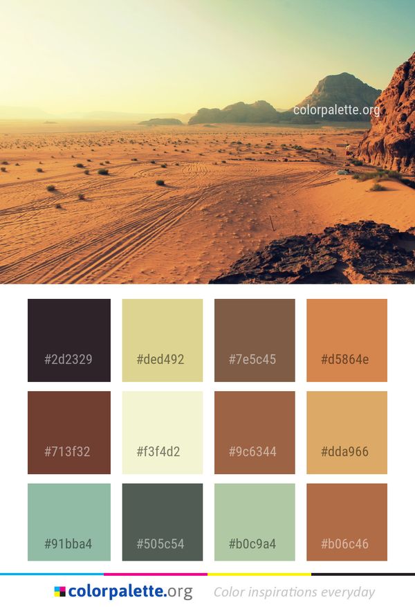 Desert Wadi Wilderness Color Palette