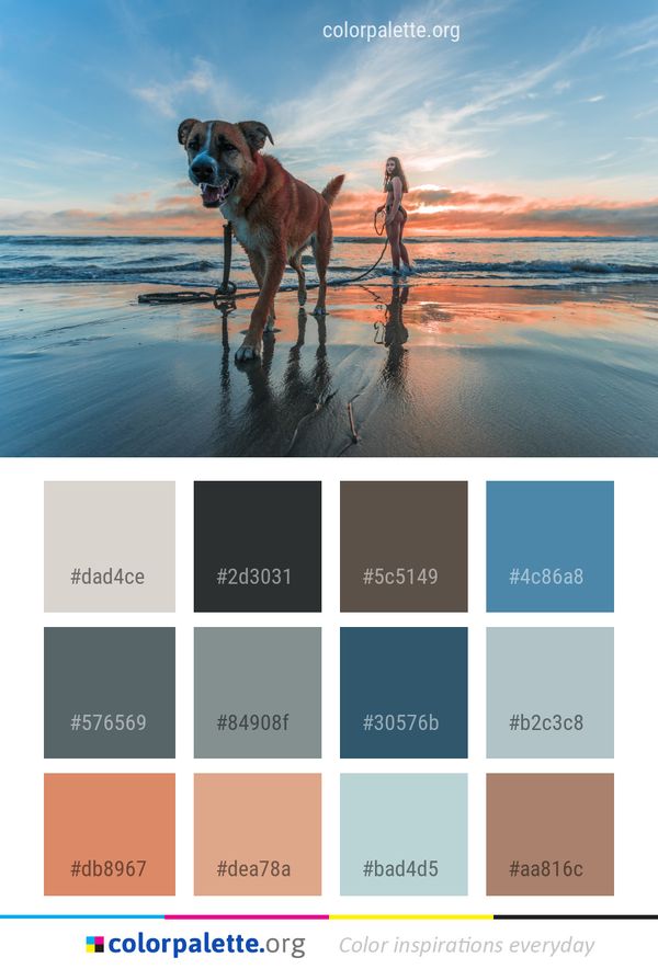 Dog Sky Like Mammal Color Palette