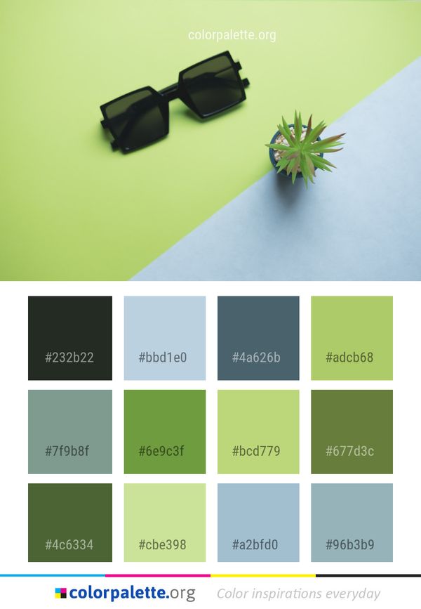 Green Eyewear Product Color Palette