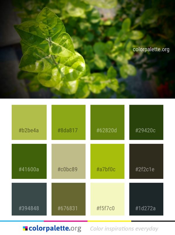 Green Leaf Vegetation Color Palette