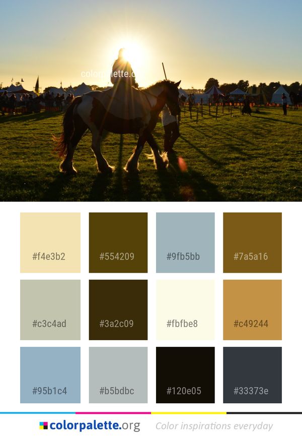Horse Sky Grassland Color Palette