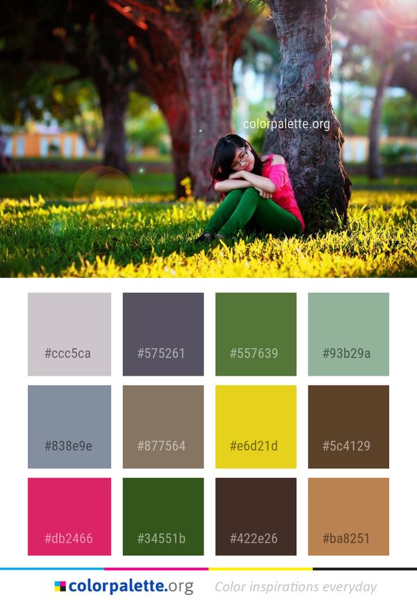 Nature Photograph Green Color Palette