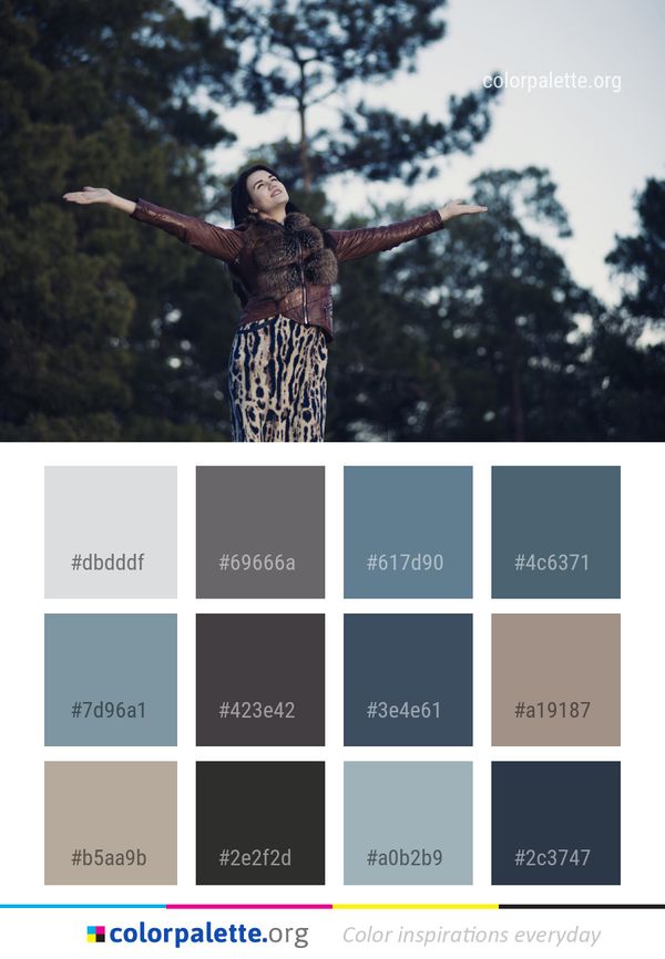 Nature Tree Sky Color Palette
