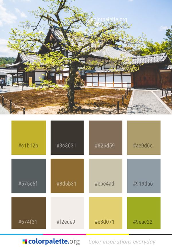 Tree Woody Plant Color Palette