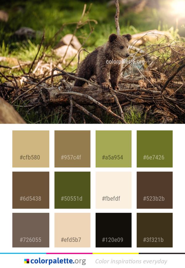 Fauna Mammal Wildlife Color Palette