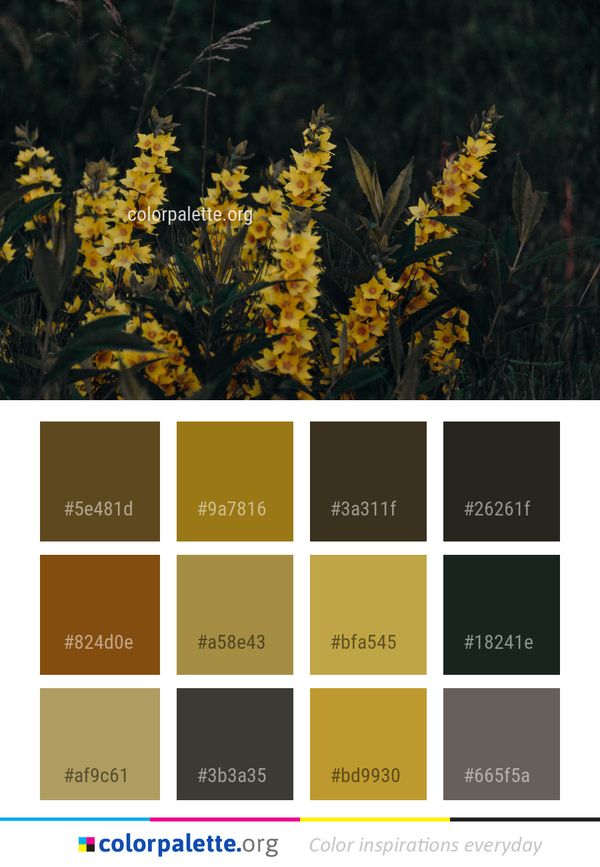 Flora Plant Flower Color Palette