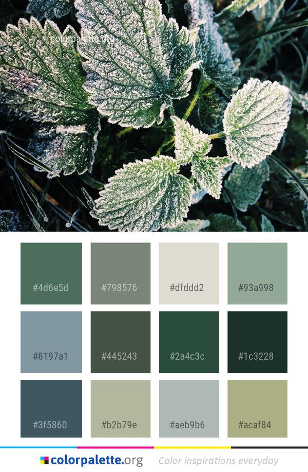 Frost Leaf Plant Color Palette