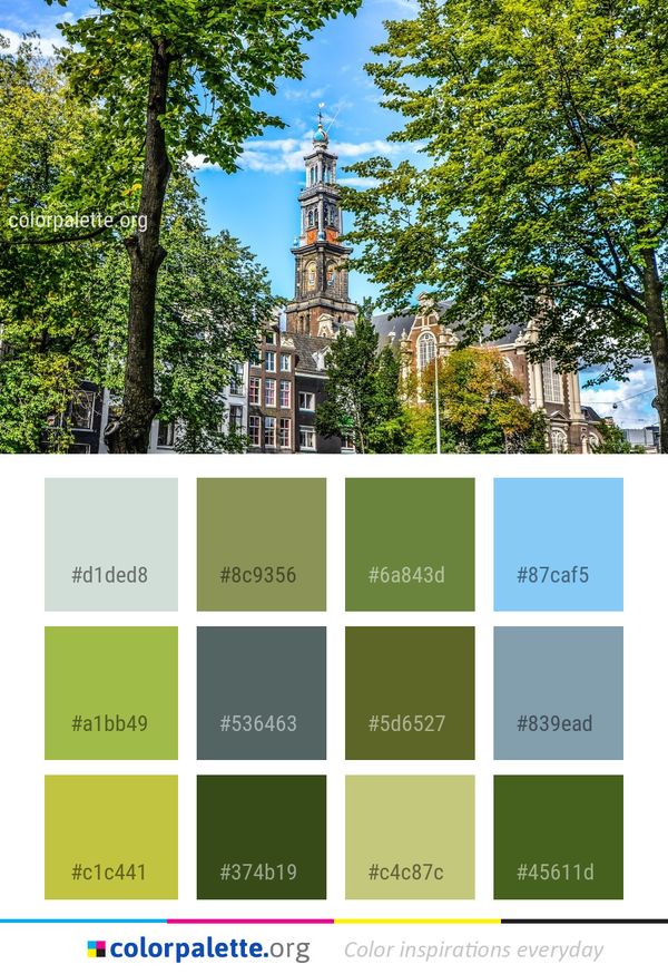Landmark Tree Leaf Color Palette