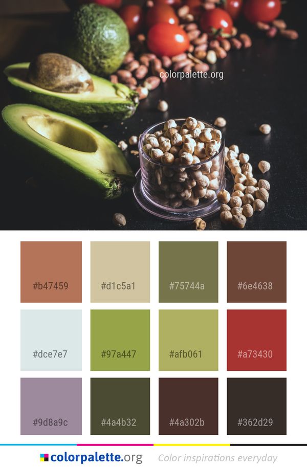 Natural Foods Superfood Food Color Palette