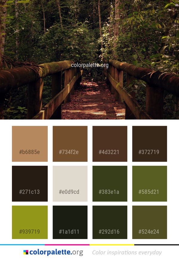 Nature Path Forest Color Palette