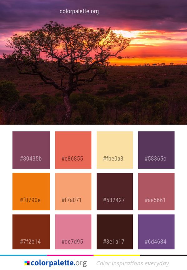Sky Ecosystem Savanna Color Palette