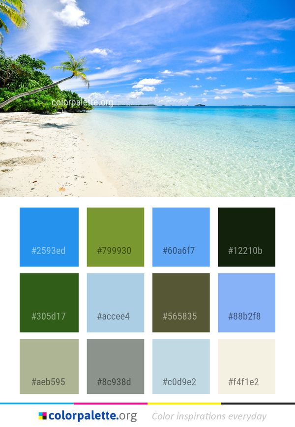 Sky Sea Tropics Color Palette