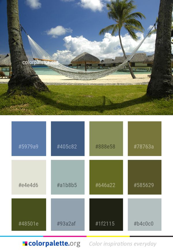 Sky Tree Palm Color Palette
