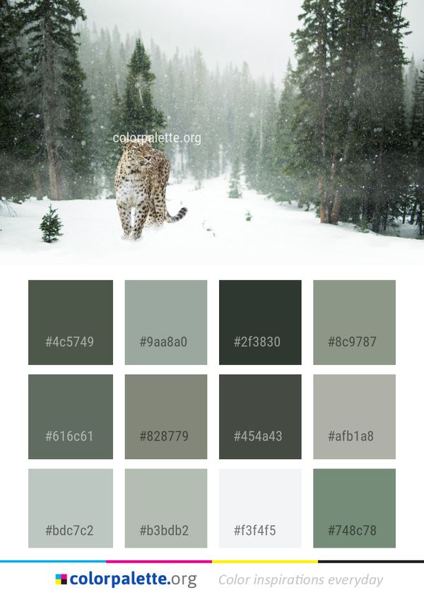 Snow Winter Tree Color Palette
