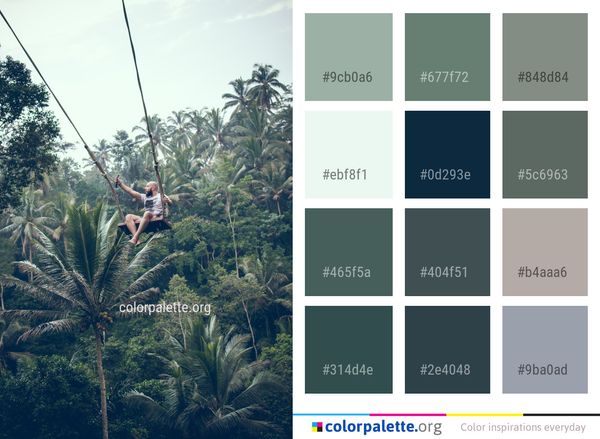 Tree Vegetation Sky Color Palette