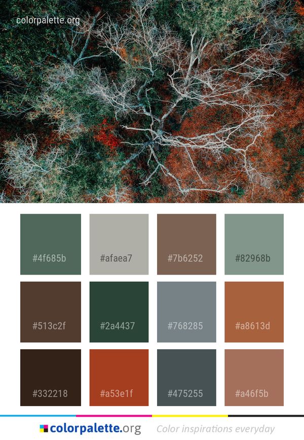 Vegetation Nature Tree Color Palette