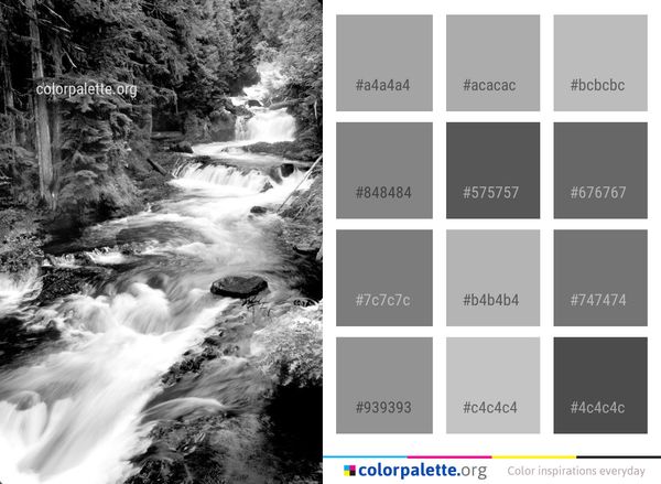 Water Nature Black And White Color Palette