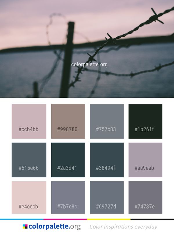 Wire Fencing Sky Barbed Color Palette