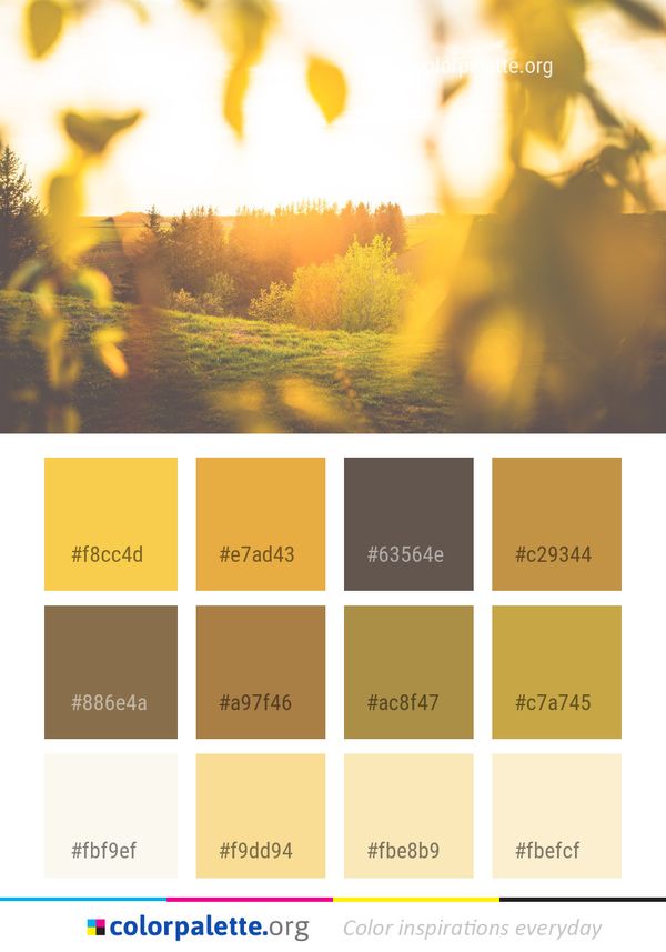 Yellow Sky Nature Color Palette