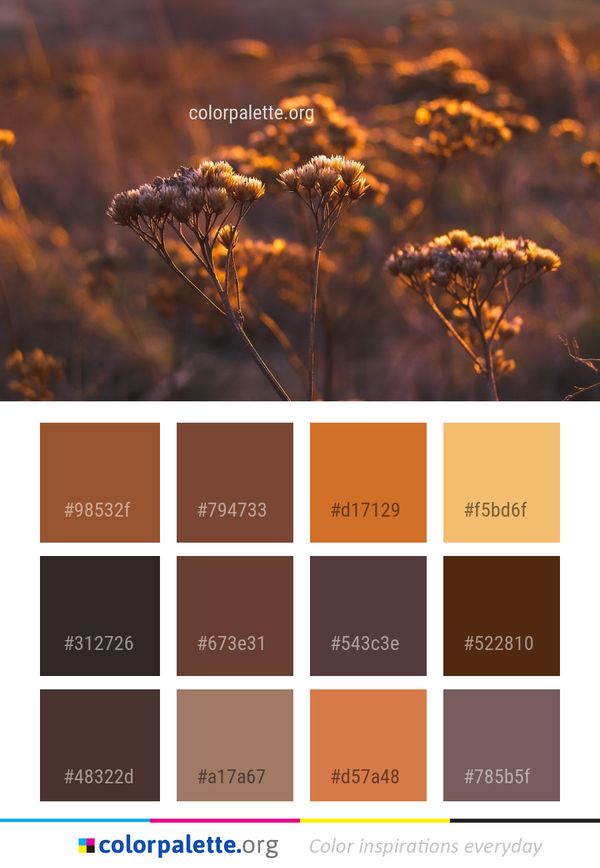 Yellow Vegetation Morning Color Palette