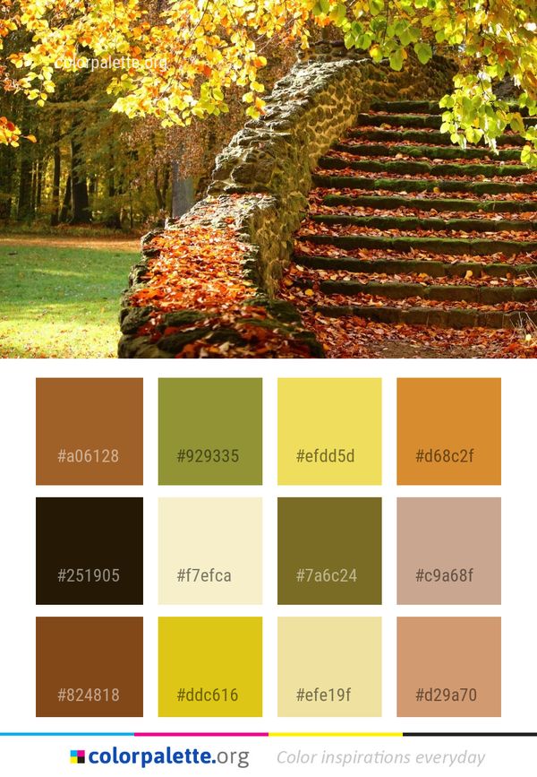 Autumn Deciduous Leaf Color Palette