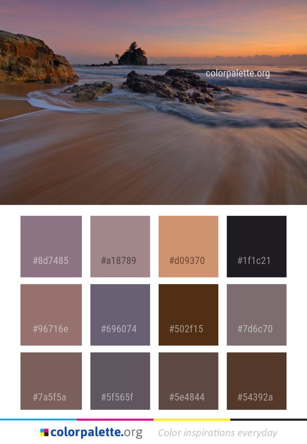 Body Of Water Sea Shore Color Palette