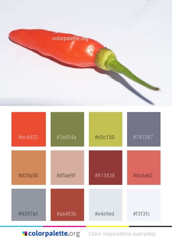 Chili Pepper Bird's Eye Vegetable Color Palette