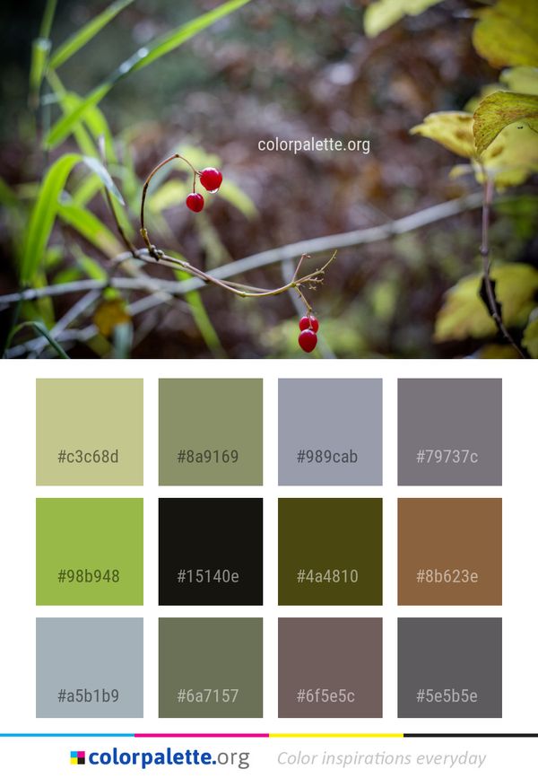 Flora Vegetation Leaf Color Palette