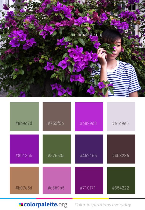 Flower Plant Pink Color Palette