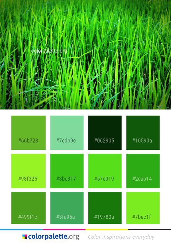 Grass Green Field Color Palette