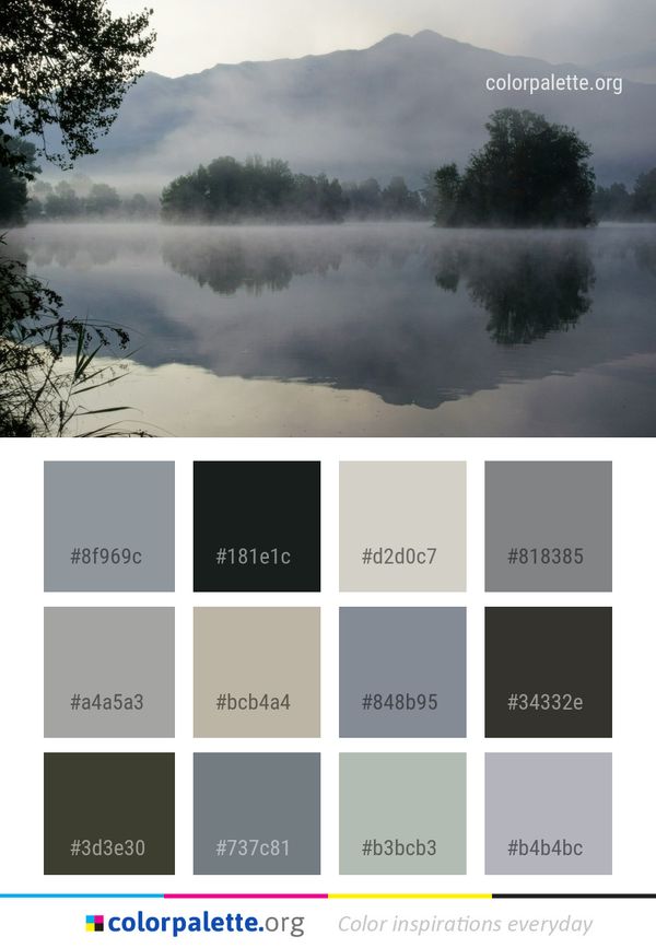 Mist Fog Nature Color Palette
