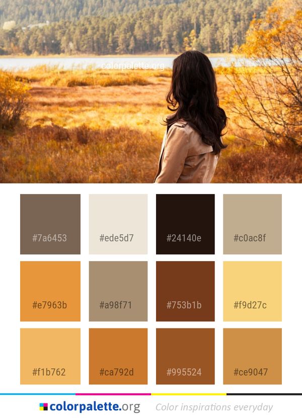 Nature Wilderness Yellow Color Palette