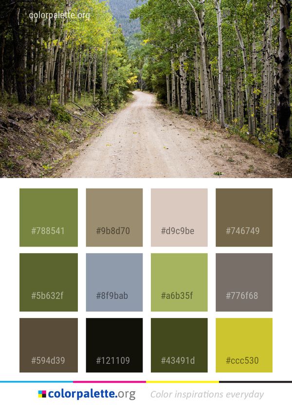 Road Path Nature Color Palette