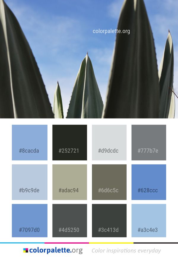 Sky Line Spire Color Palette