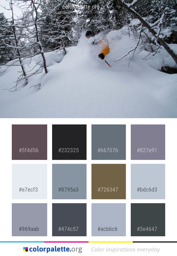 Snow Winter Geological Phenomenon Color Palette
