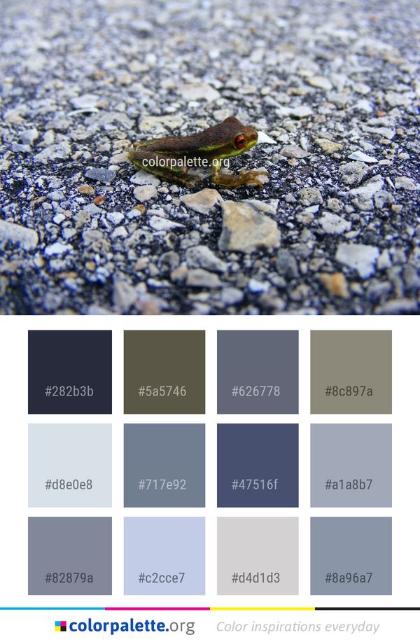 Amphibian Fauna Frog Color Palette