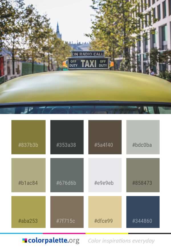 Car Motor Vehicle Color Palette