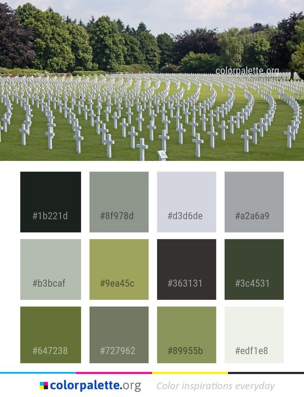 Cemetery Field Grass Color Palette