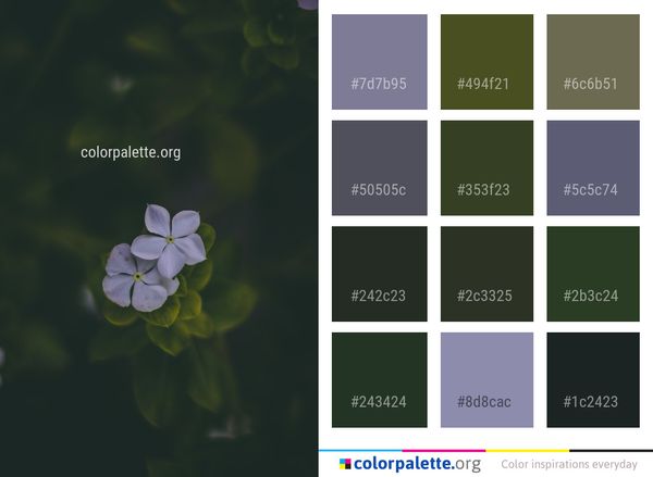 Flower Flora Macro Photography Color Palette