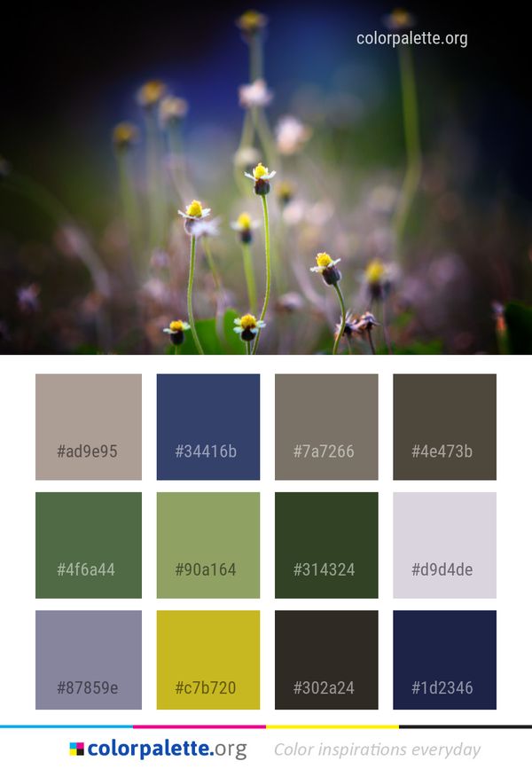 Flower Flora Yellow Color Palette