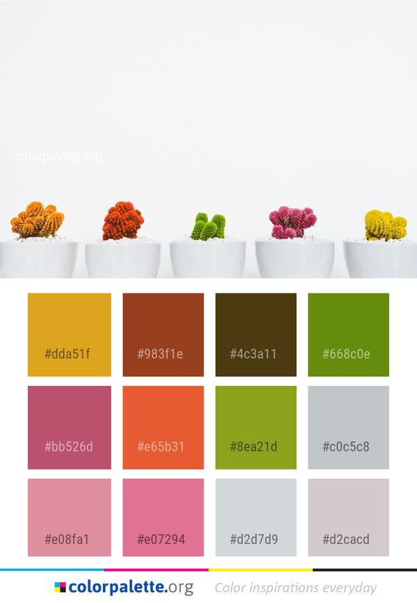 Flower Floristry Arranging Color Palette