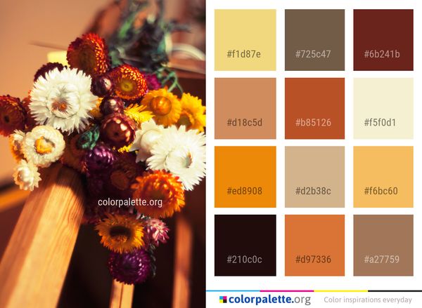 Flower Bouquet Floristry Color Palette